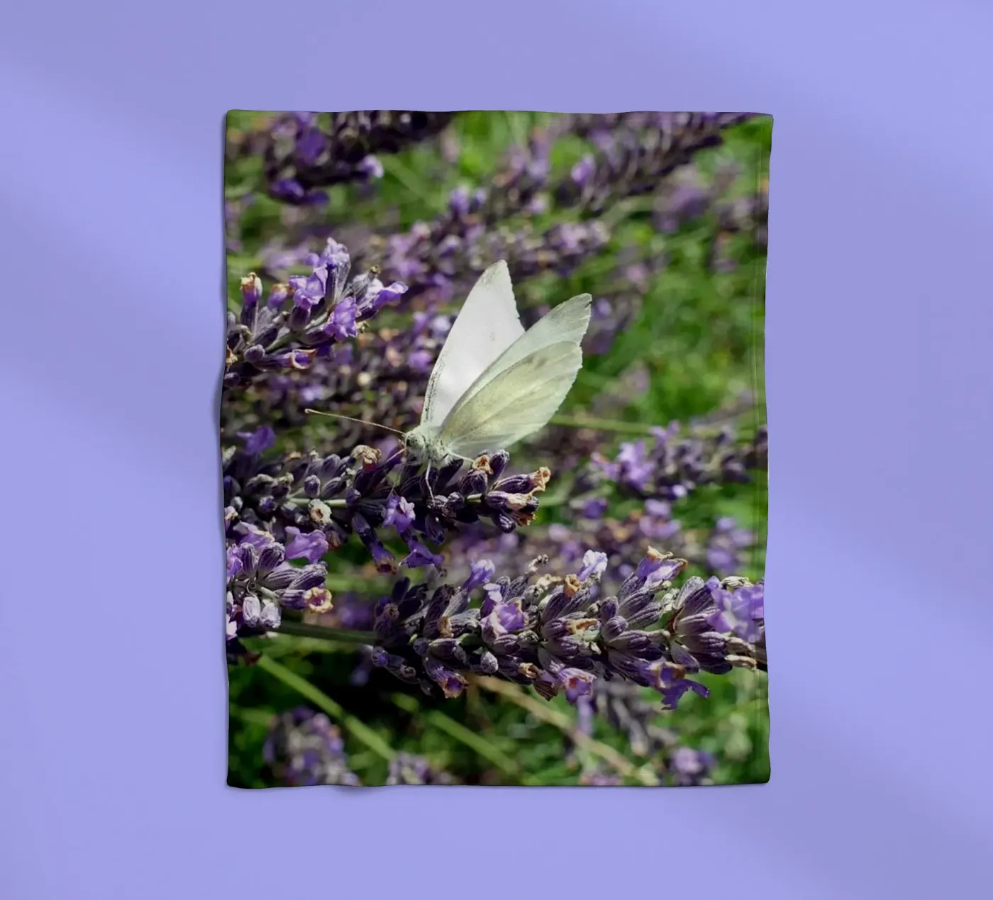 Butterfly coperta in pile da Massimo Frascogna