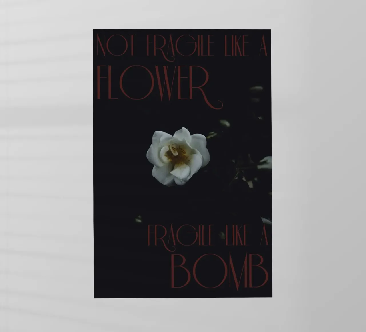 Not fragile like a flower, fragile like a bomb. pellicola backlit da smallstage.photography