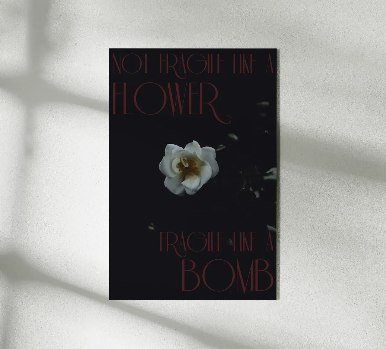 Not fragile like a flower, fragile like a bomb. plexiglass da smallstage.photography