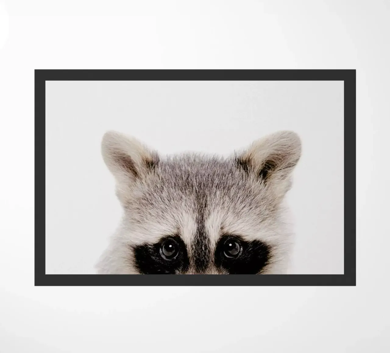 Raccoon zerbino da Paws & Claws