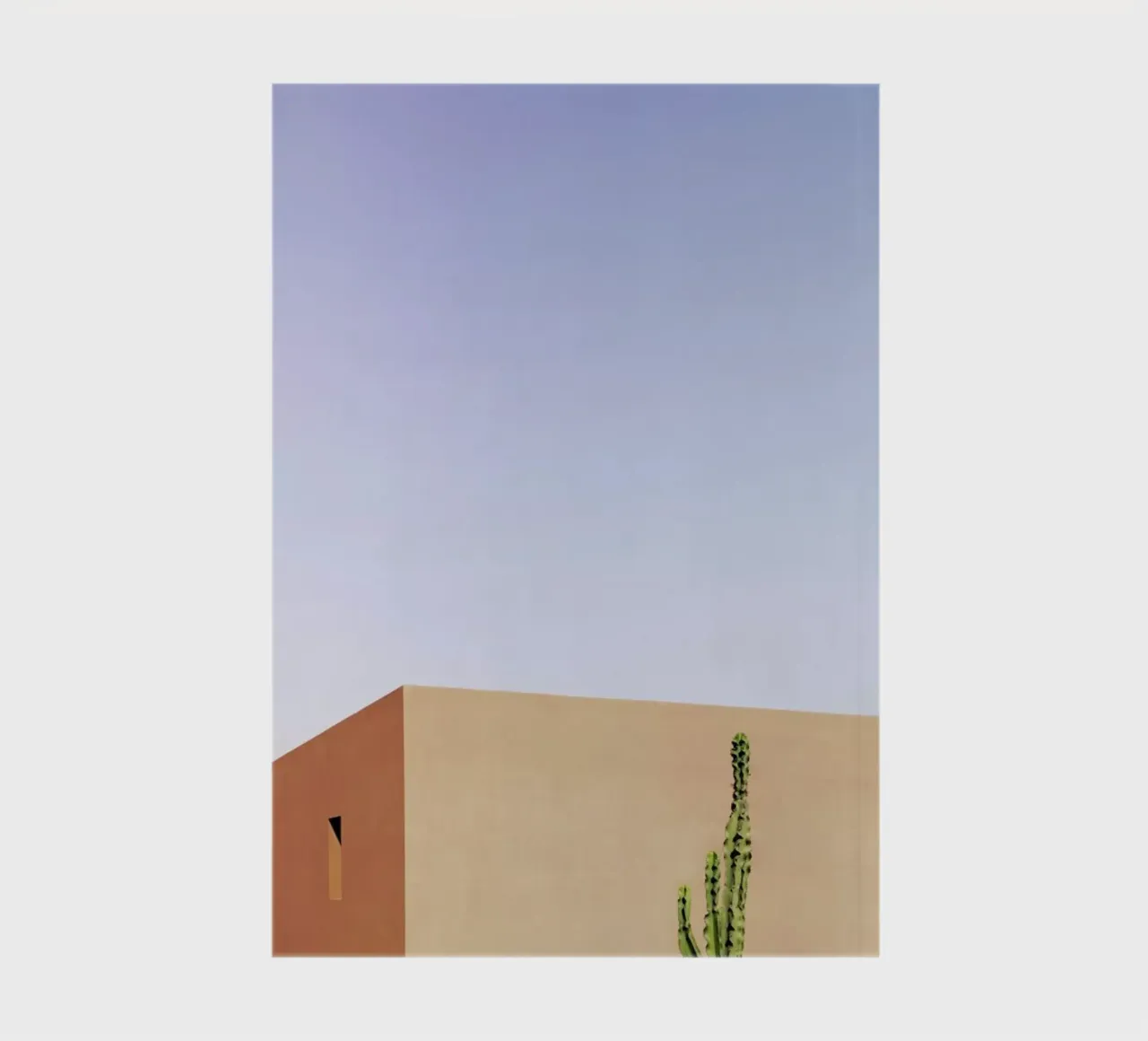 Cactus House notebook by Rupert Höller