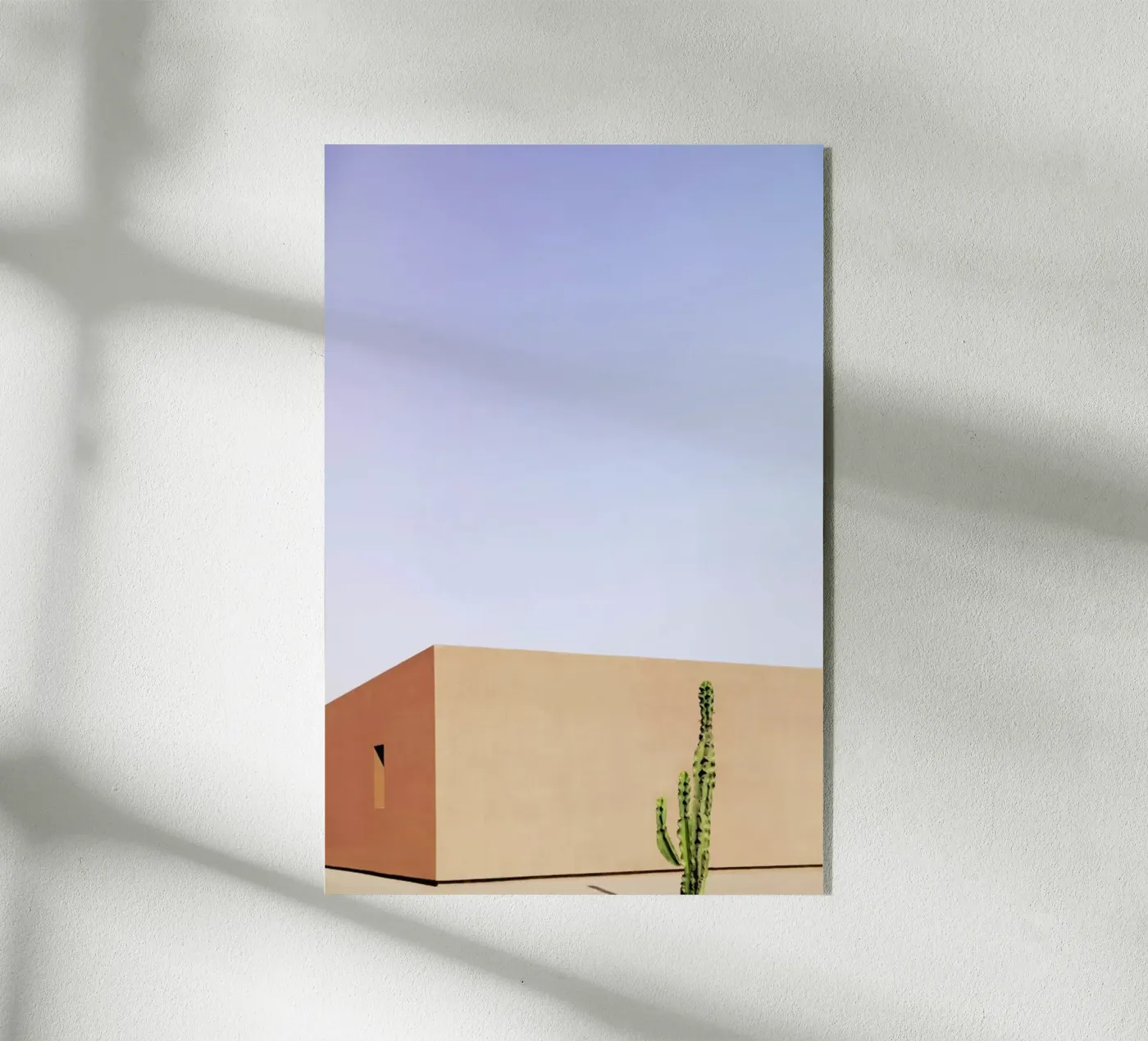 Cactus House plexiglass da Rupert Höller