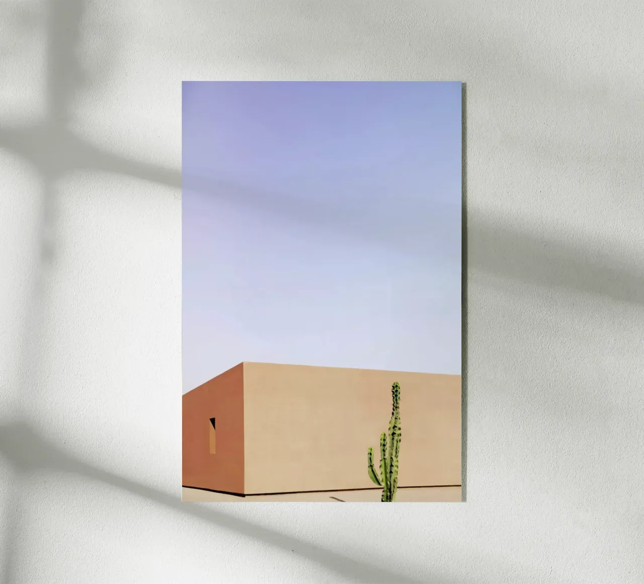 Cactus House plexiglass da Rupert Höller