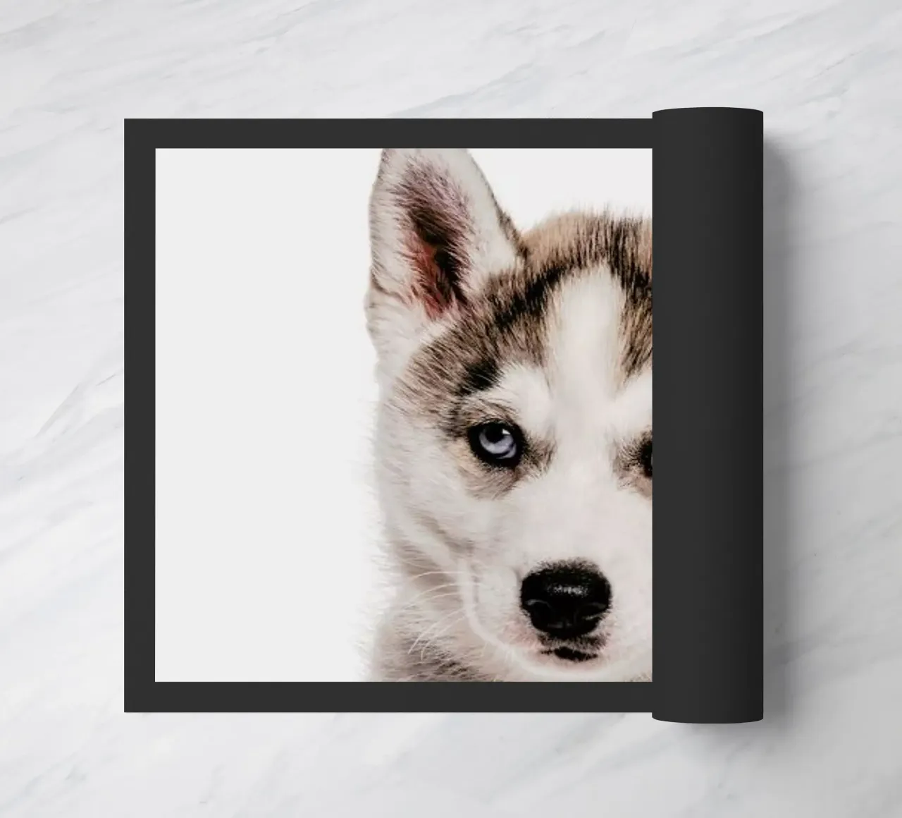 Husky zerbino da Paws & Claws