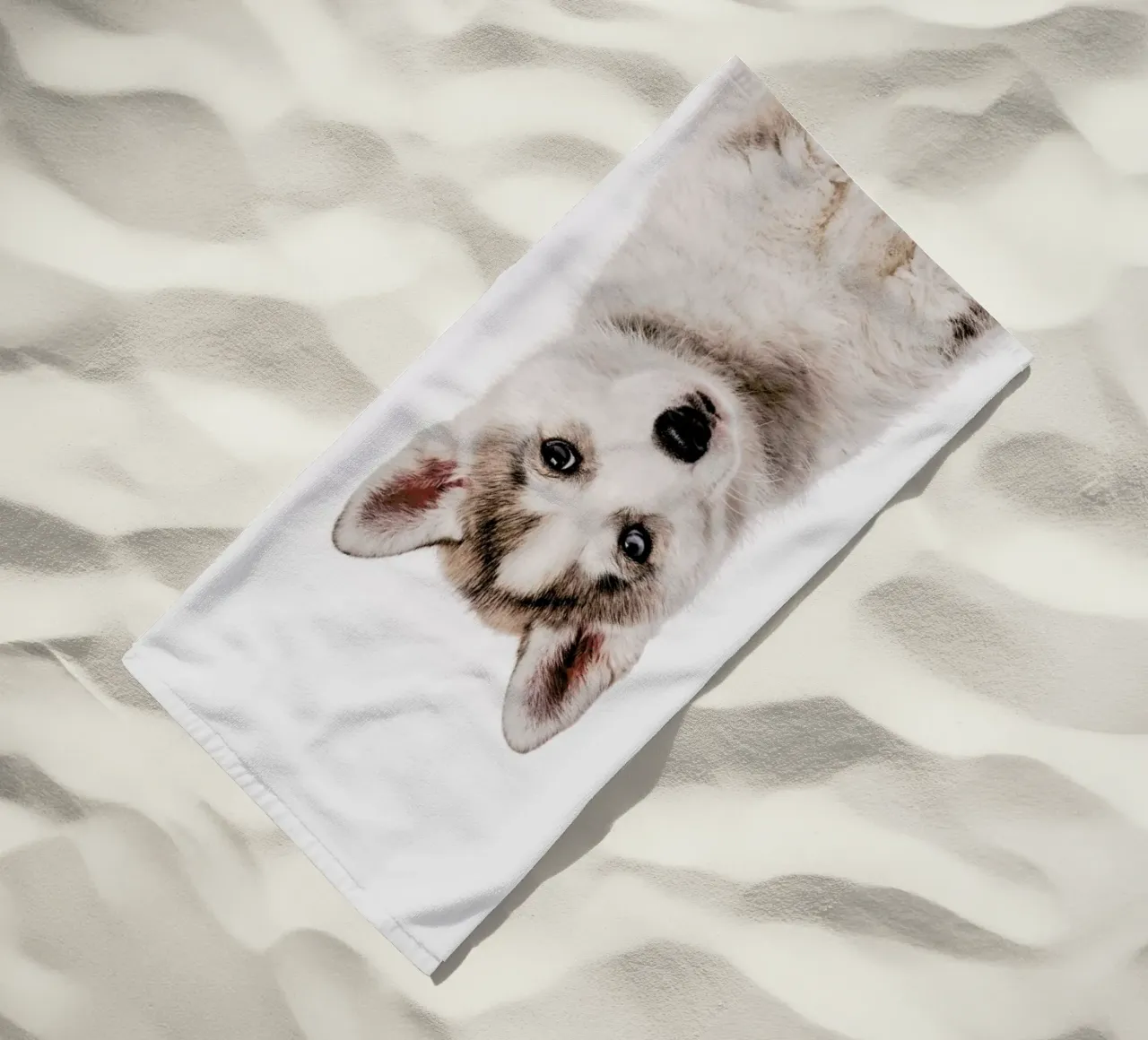 Husky telo mare da Paws & Claws