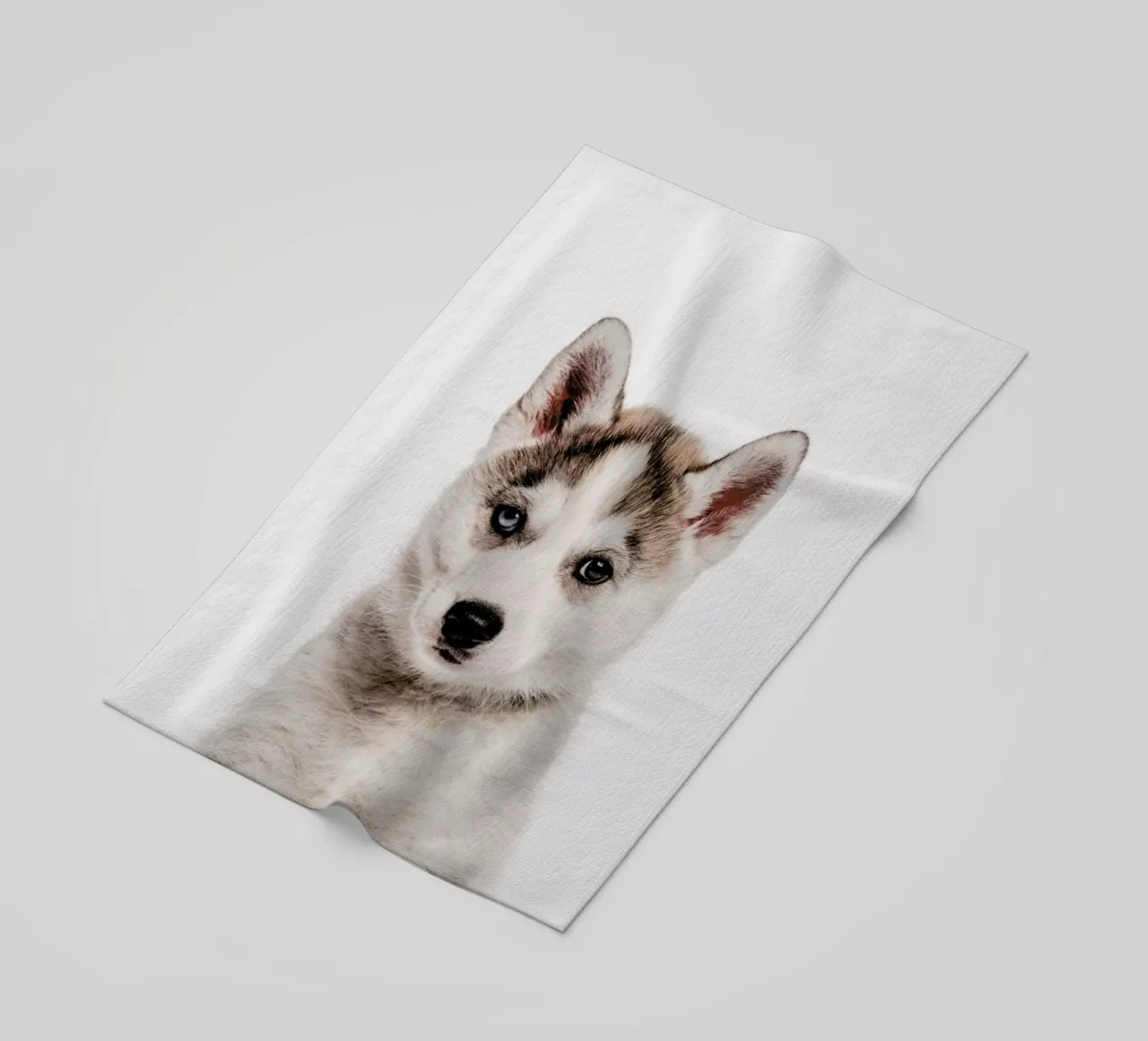 Husky telo mare da Paws & Claws