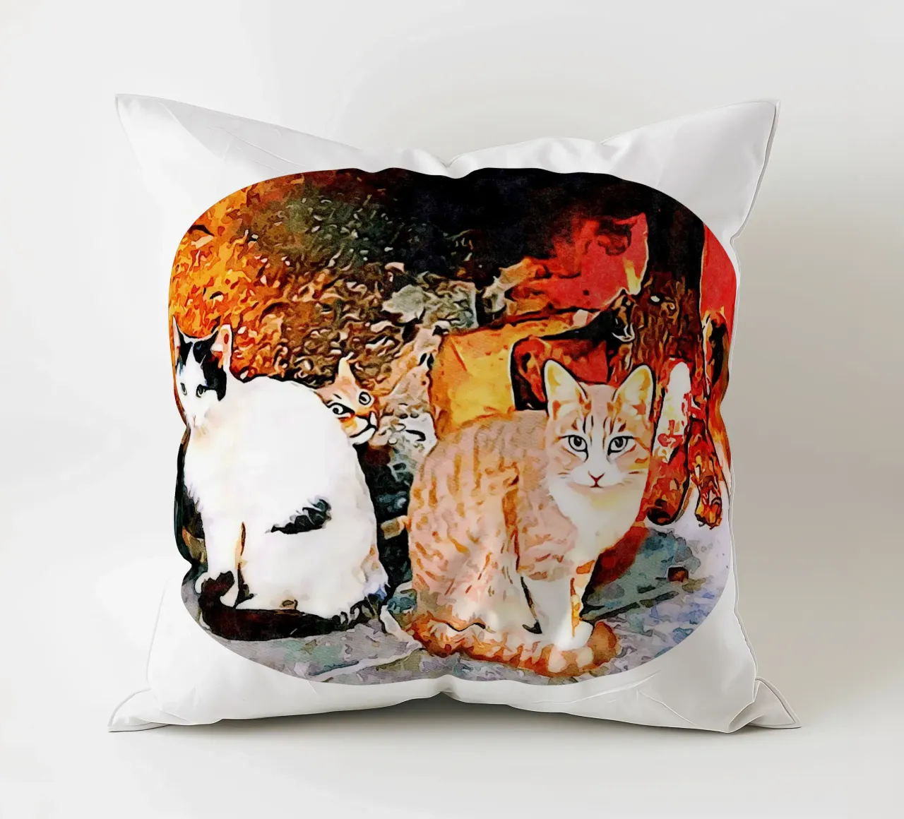Gatti cuscino da Massimo Frascogna