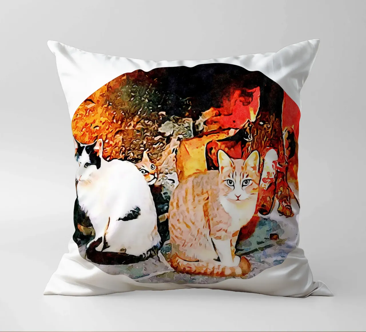 Gatti cuscino da Massimo Frascogna