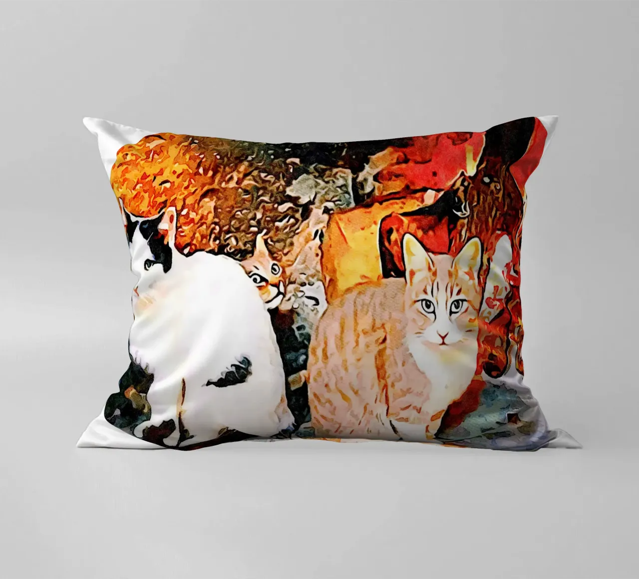 Gatti cuscino da Massimo Frascogna