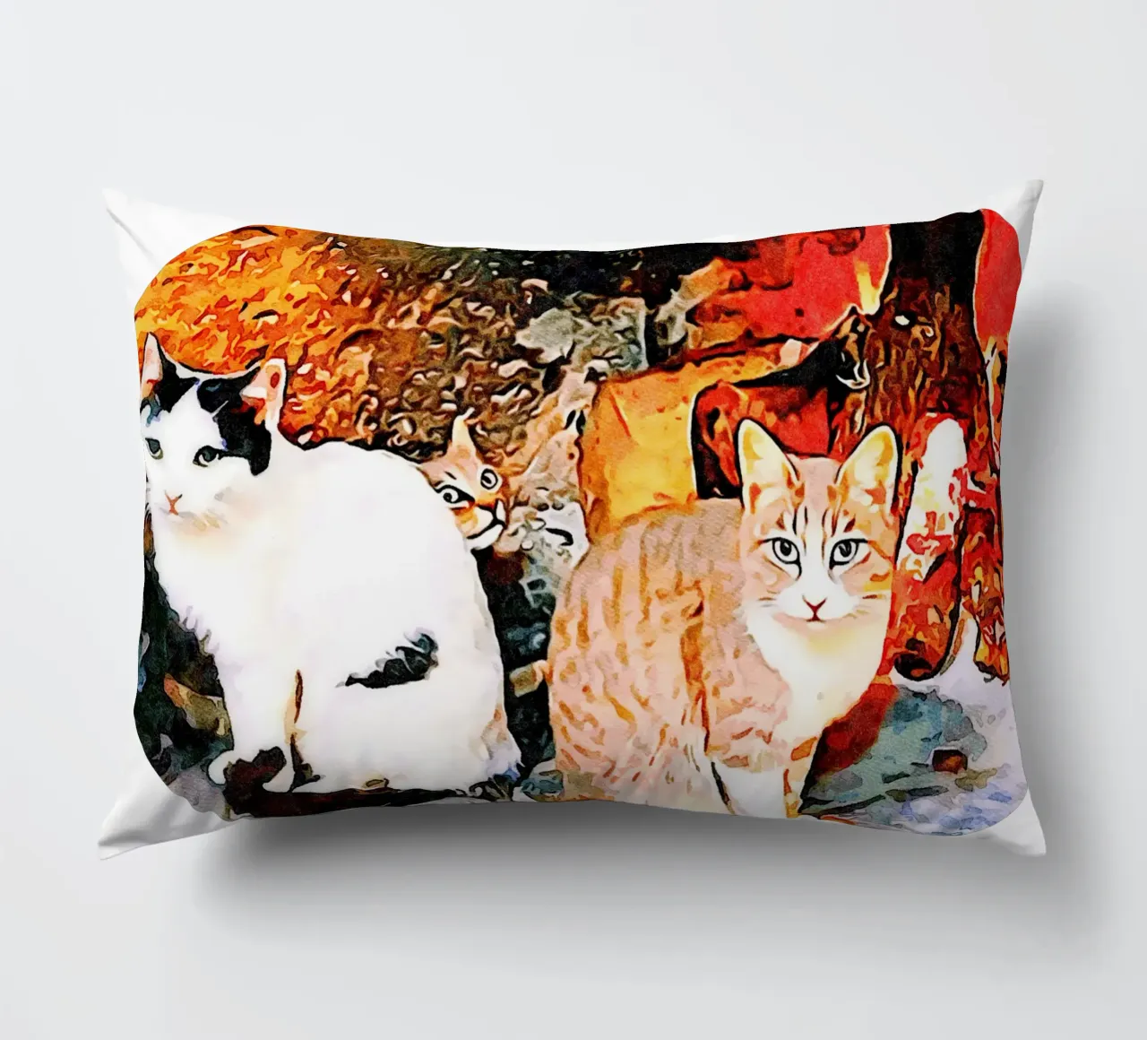 Gatti cuscino da Massimo Frascogna