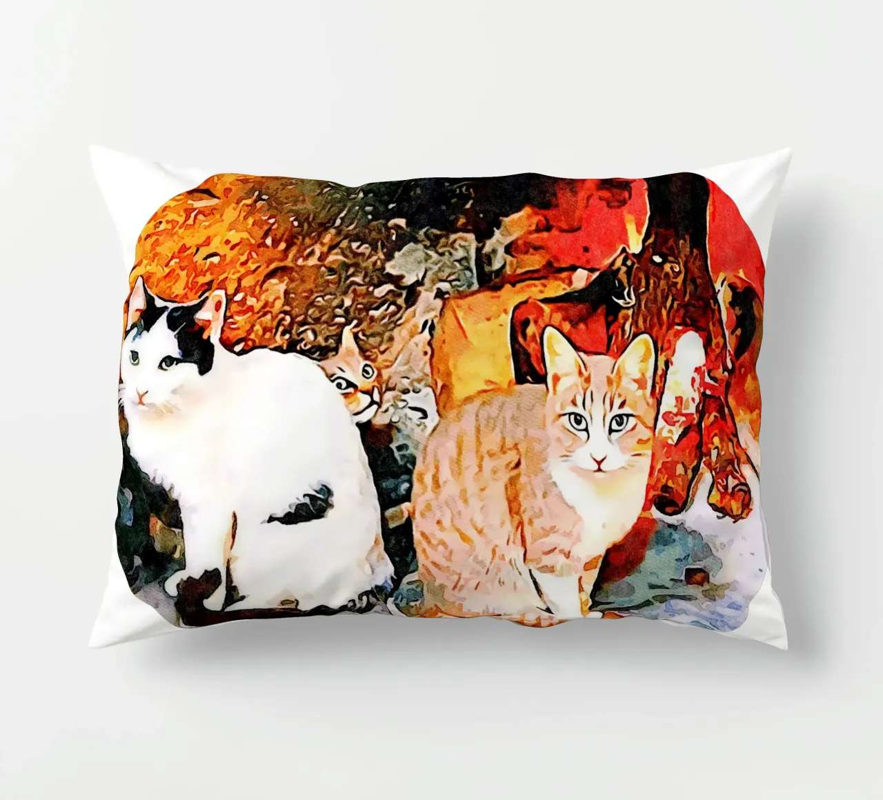 Gatti cuscino da Massimo Frascogna