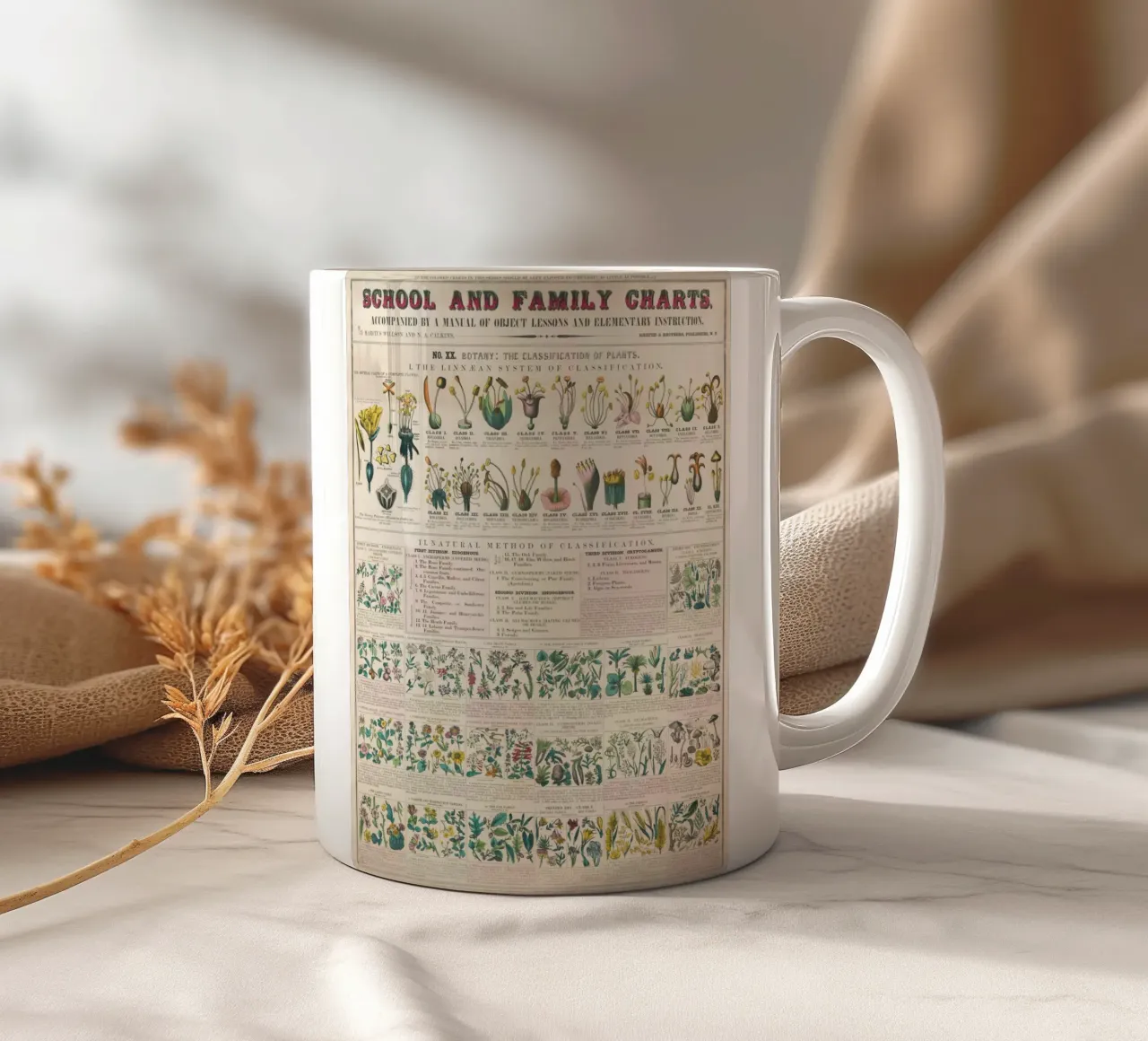 Botanische poster van planten keramische mok van ARTVI-SHOP
