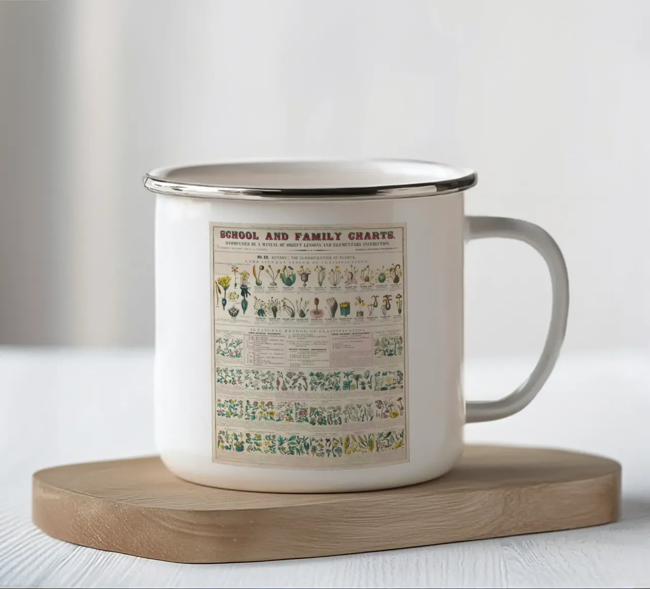 Poster botanico di piante tazza in smalto da ARTVI-SHOP
