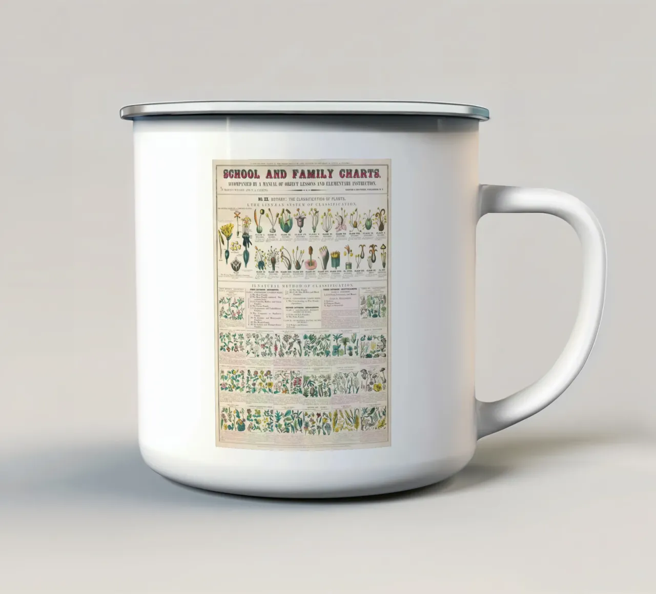 Botanical poster of plants enamel mug by ARTVI-SHOP