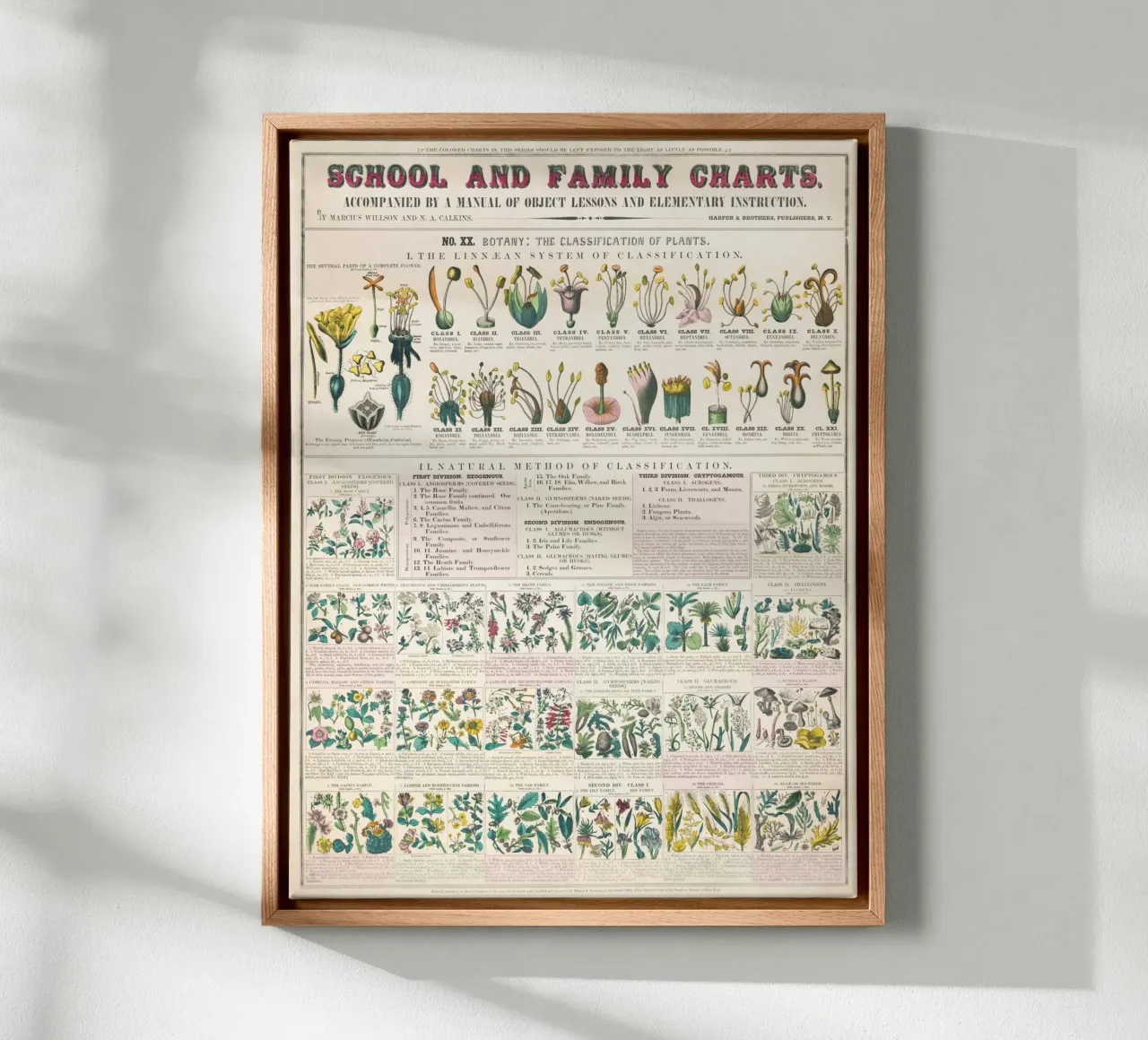 Poster botanico di piante tela con Cornice a cassetta da 🎁 ARTVI-SHOP