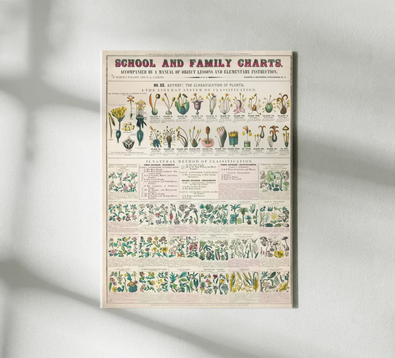 Poster botanico di piante tela con Cornice a cassetta da 🎁 ARTVI-SHOP