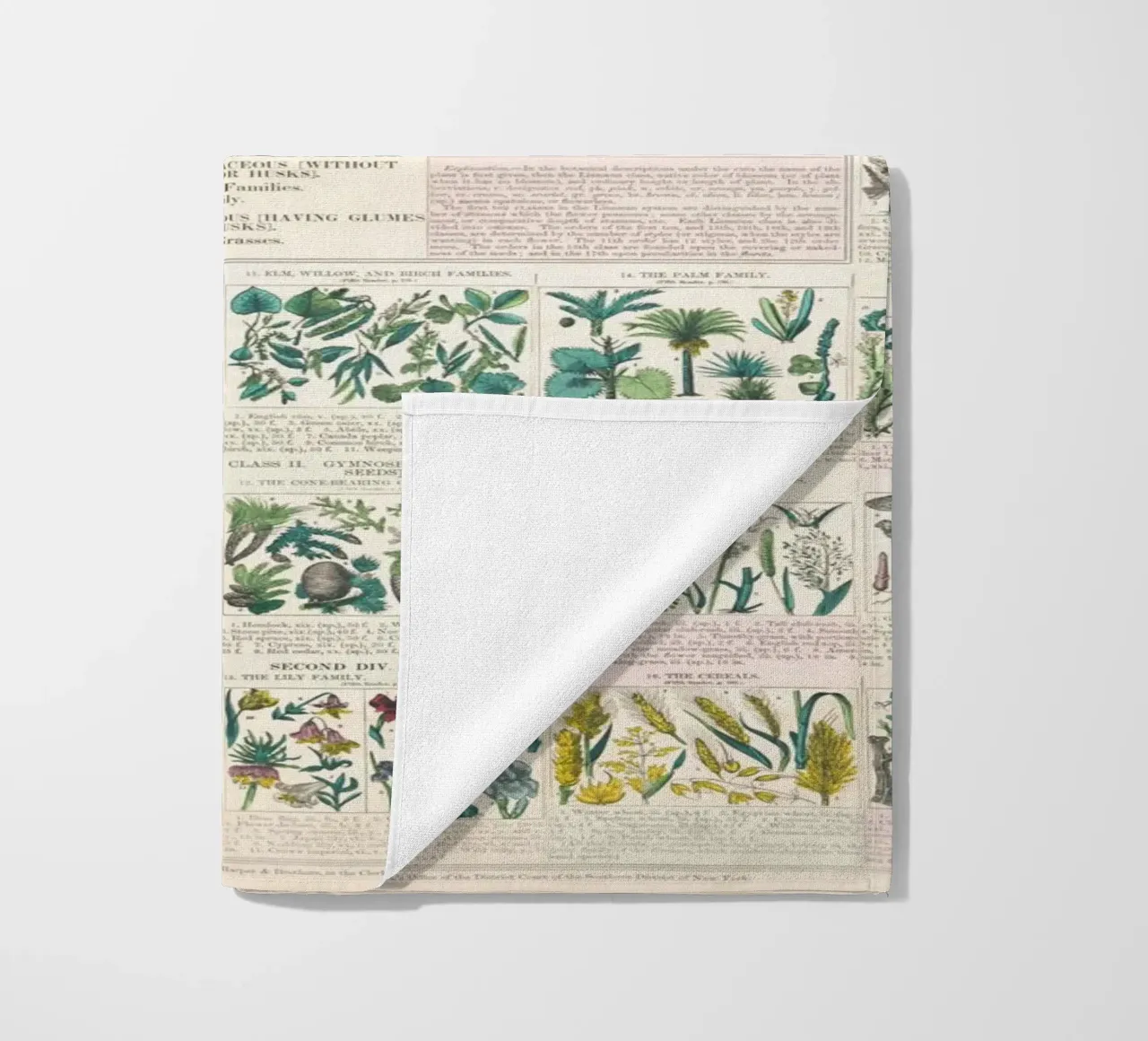 Poster botanico di piante telo mare da ARTVI-SHOP