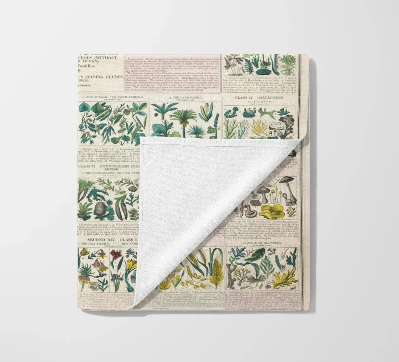 Poster botanico di piante telo mare da ARTVI-SHOP