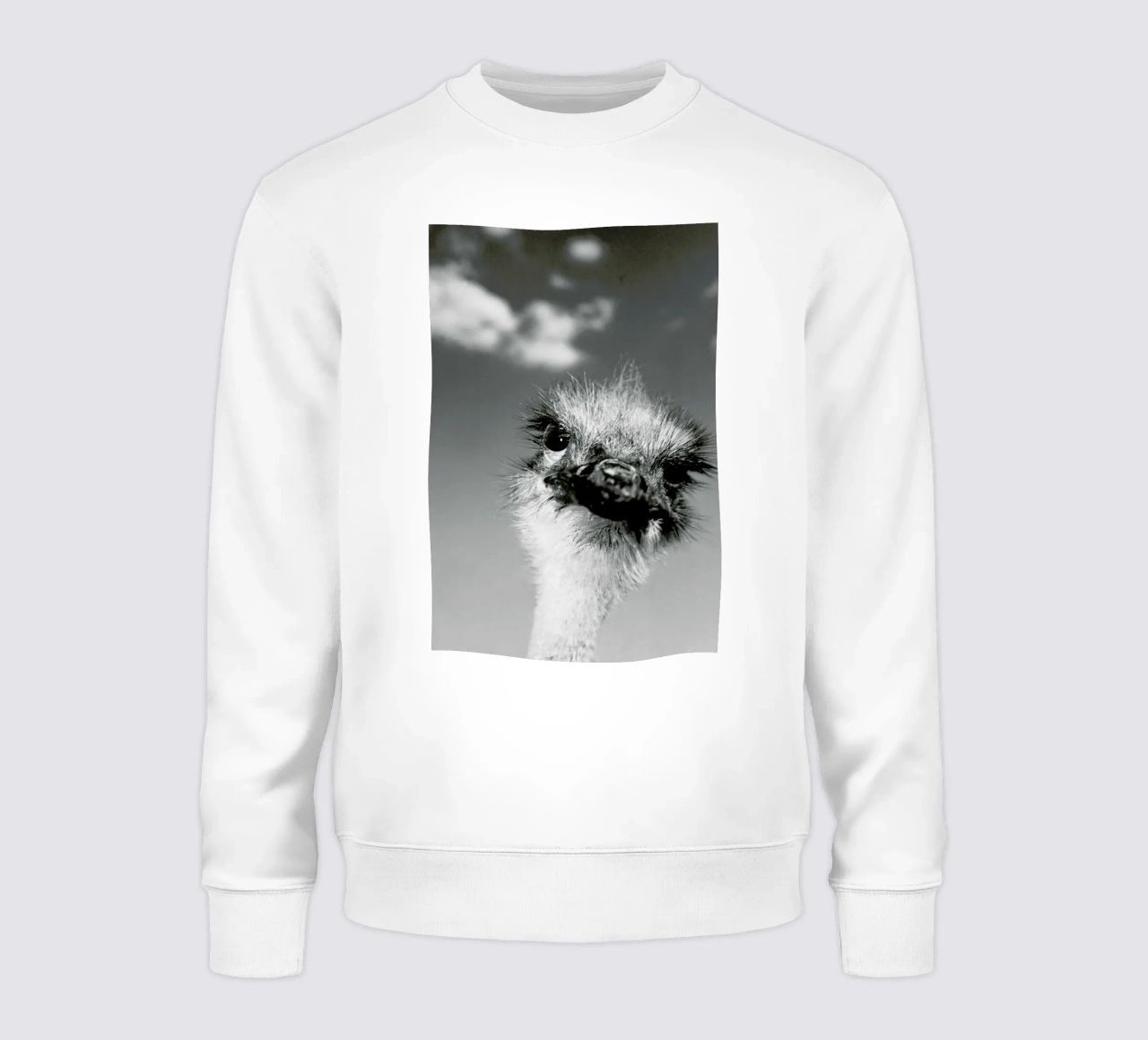 Head in the Clouds sudadera de Natural Kingdom