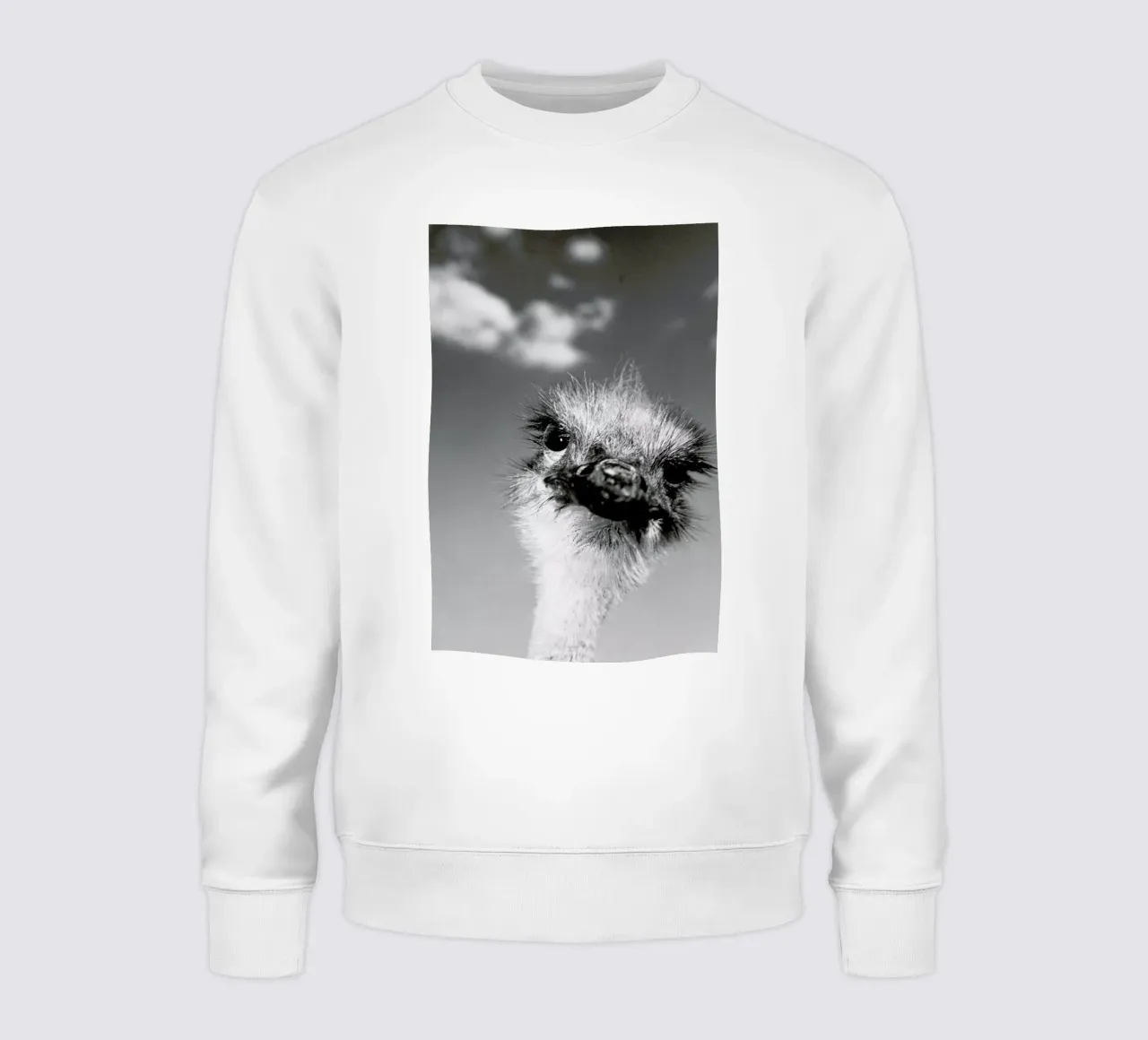 Head in the Clouds sweatshirt van Natural Kingdom