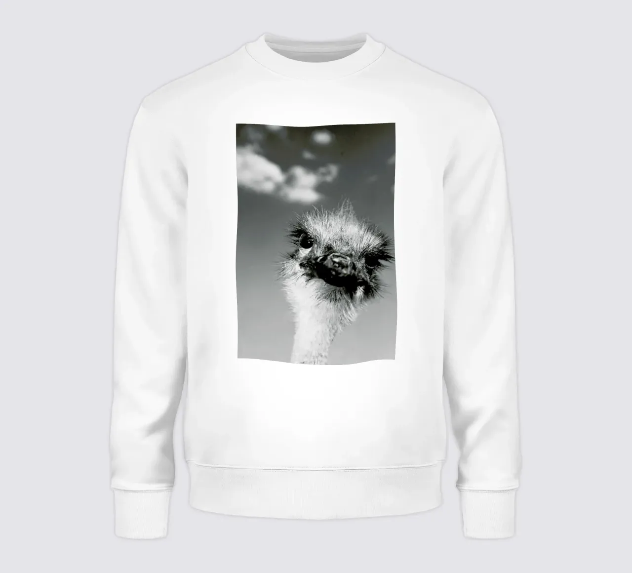 Head in the Clouds sweat de Natural Kingdom