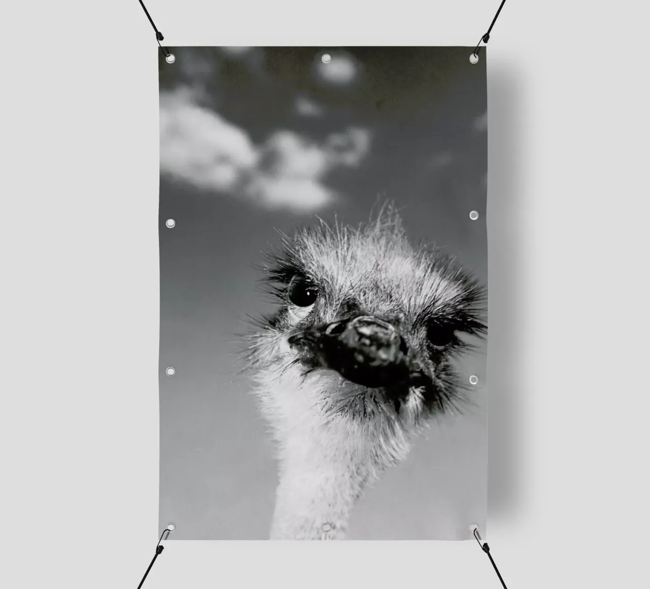 Head in the Clouds telo in pvc da Natural Kingdom