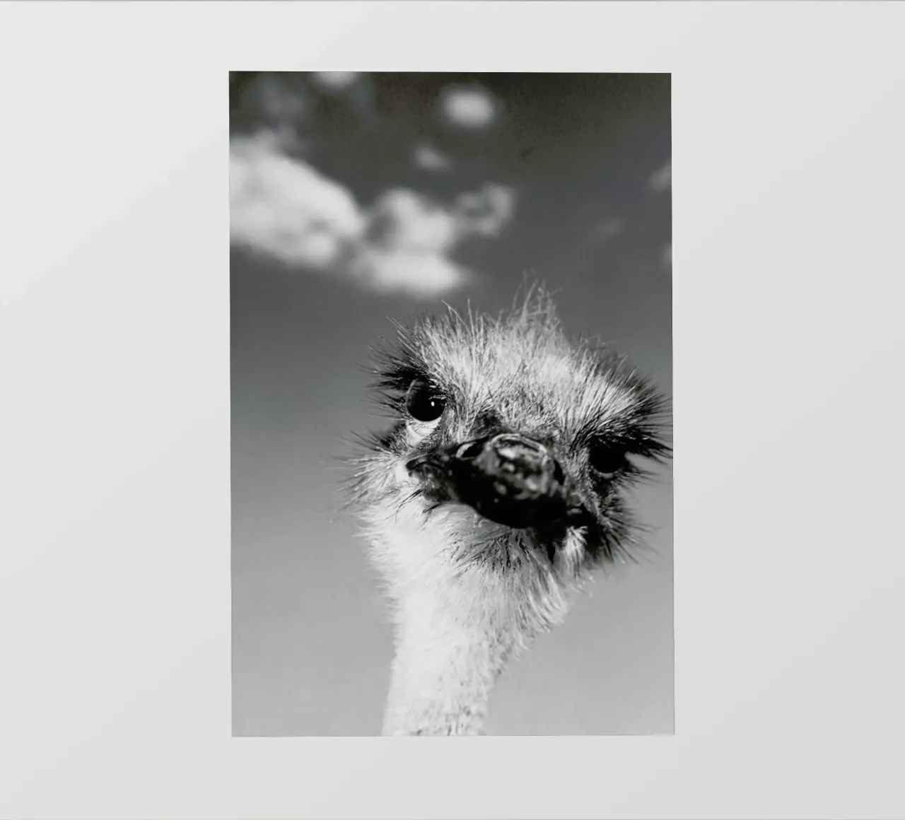 Head in the Clouds telo in pvc da Natural Kingdom