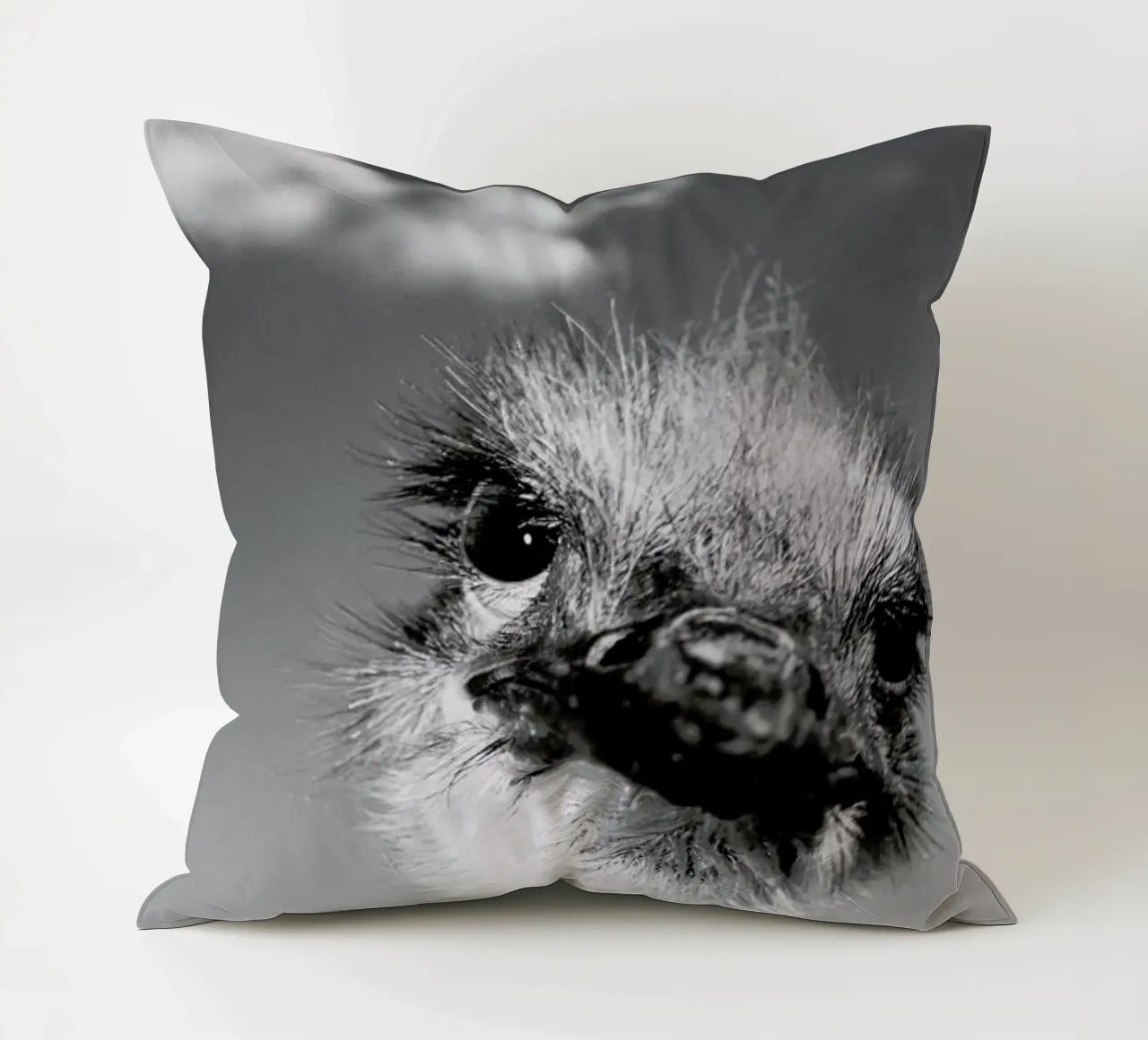 Head in the Clouds cuscino da Natural Kingdom