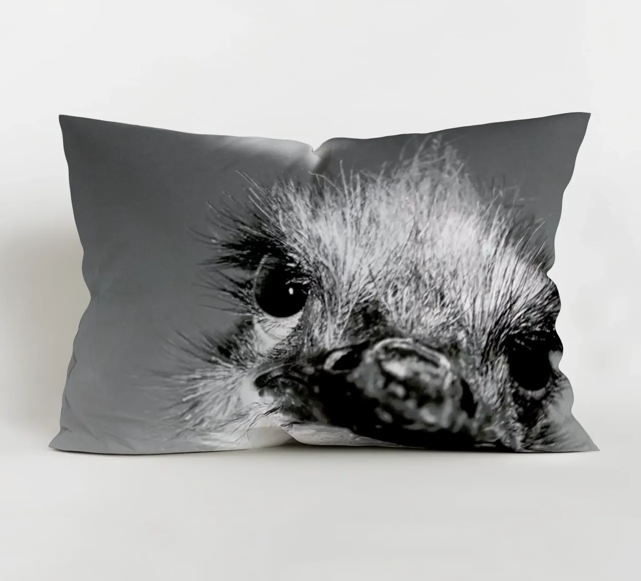 Head in the Clouds cuscino da Natural Kingdom