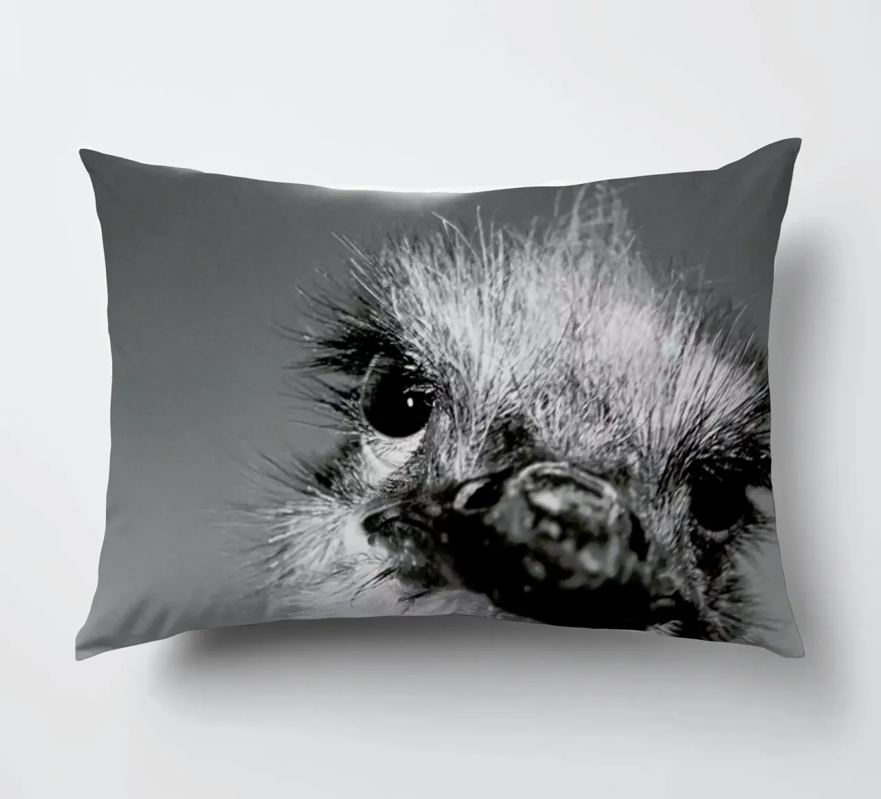 Head in the Clouds cuscino da Natural Kingdom