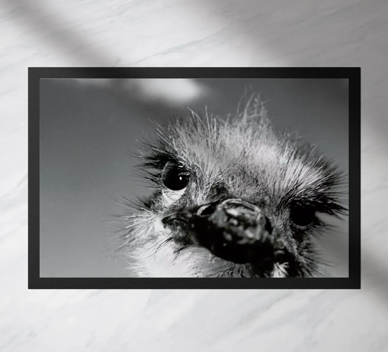 Head in the Clouds zerbino da Natural Kingdom