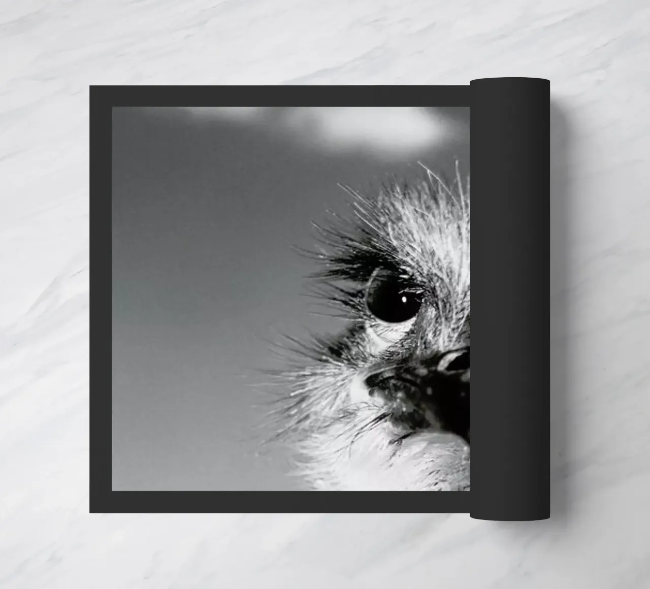 Head in the Clouds zerbino da Natural Kingdom