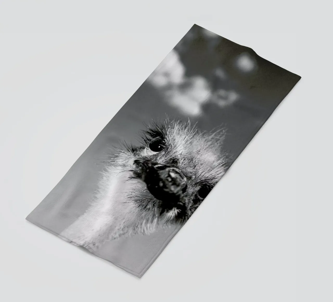 Head in the Clouds telo mare da Natural Kingdom