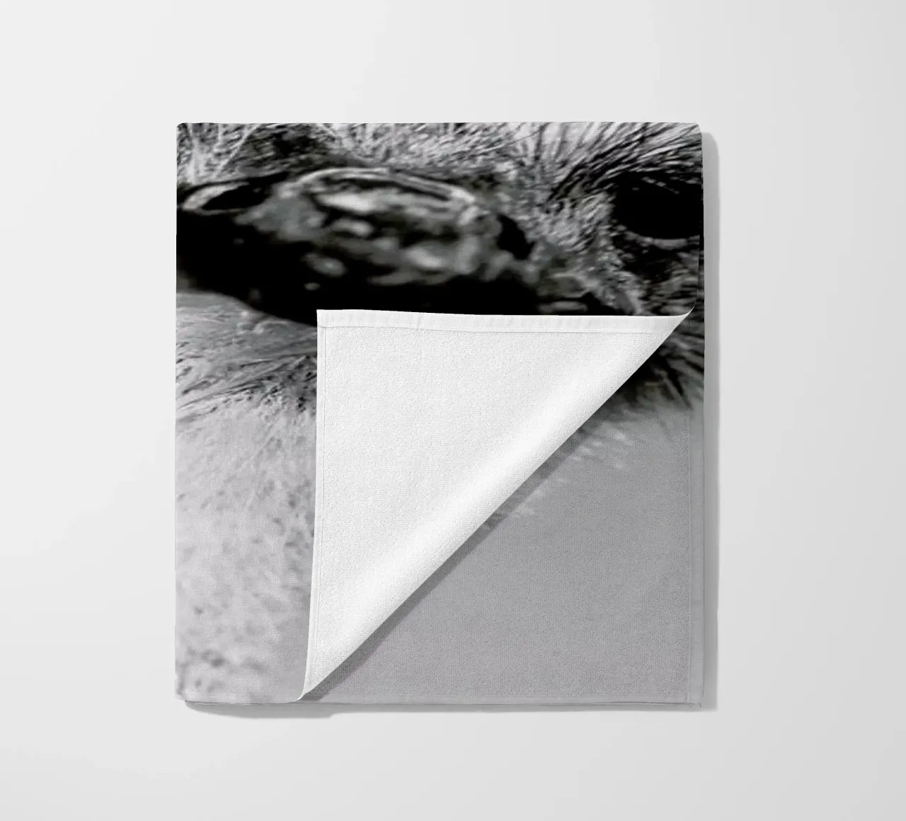 Head in the Clouds telo mare da Natural Kingdom