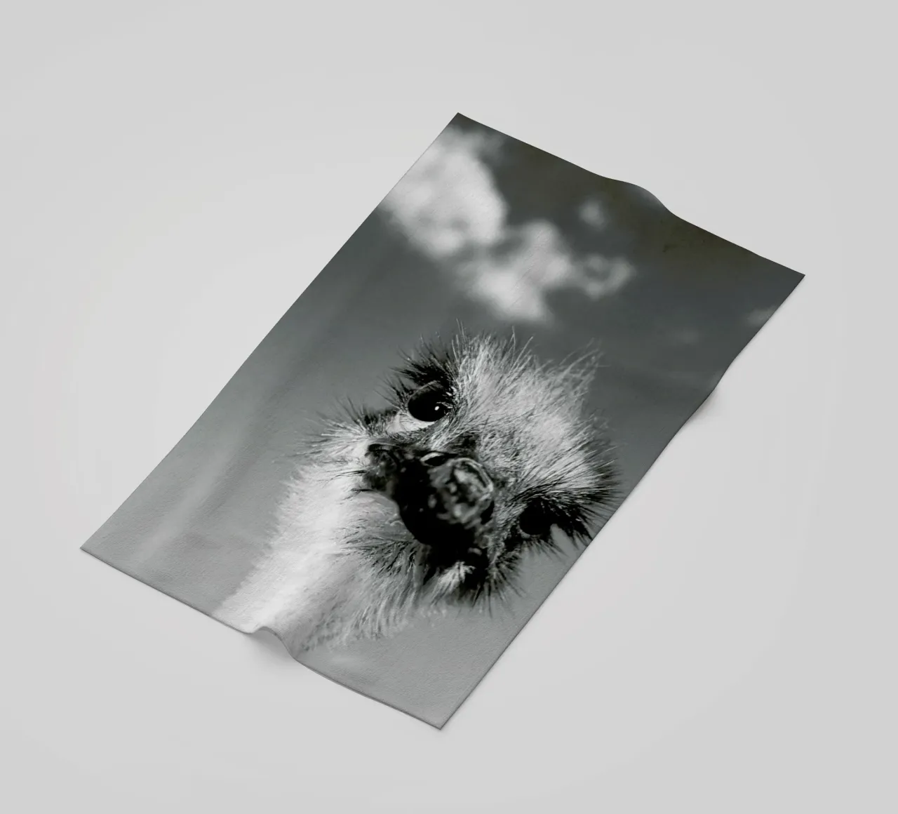 Head in the Clouds telo mare da Natural Kingdom