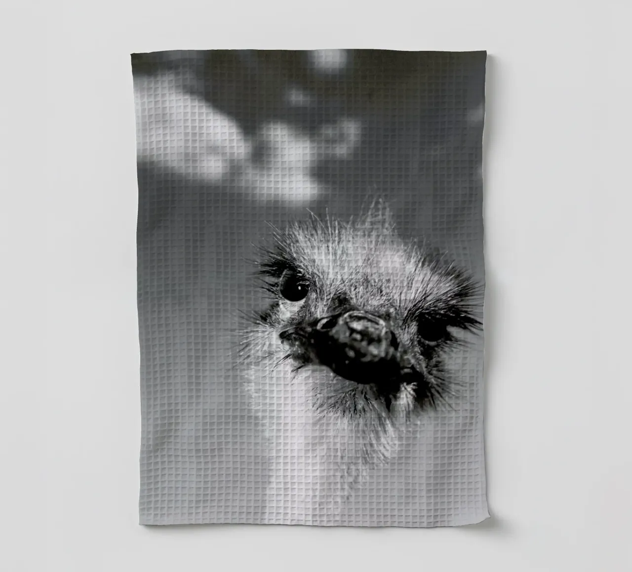 Head in the Clouds canovaccio da cucina da Natural Kingdom