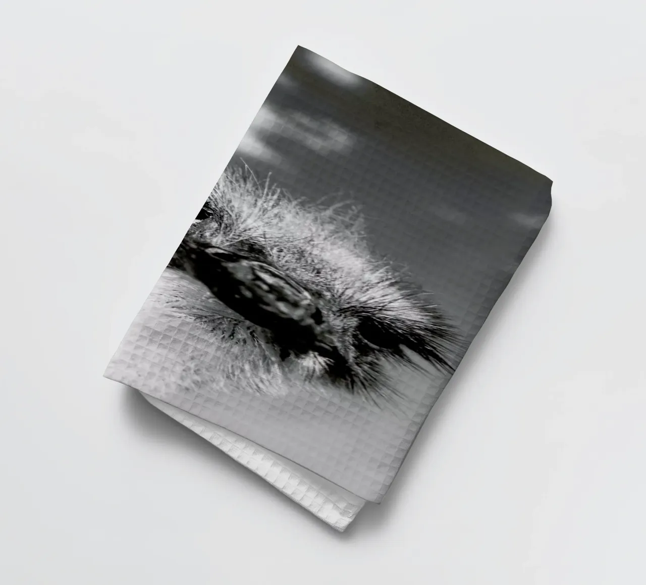 Head in the Clouds canovaccio da cucina da Natural Kingdom