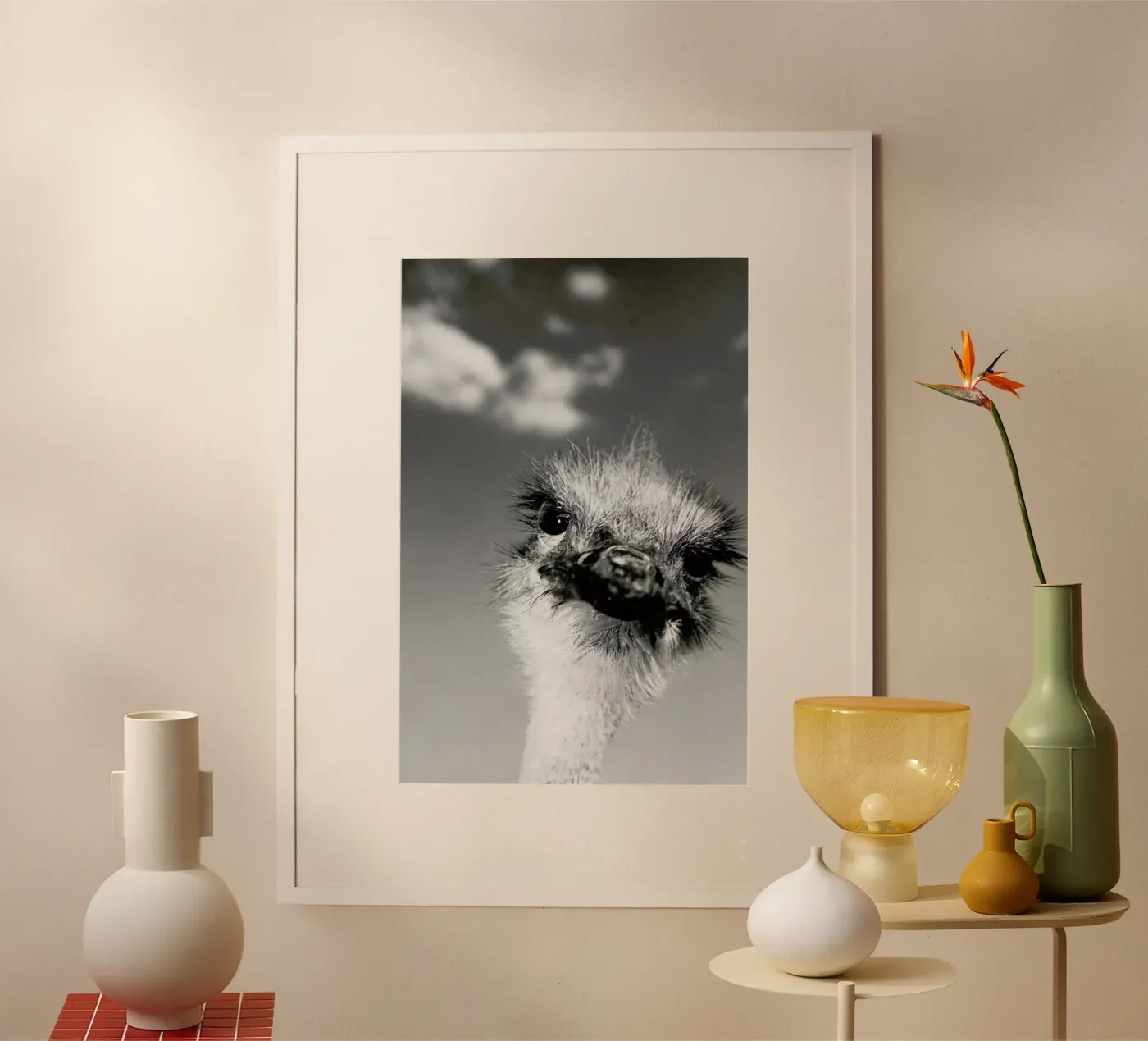 Head in the Clouds poster da Natural Kingdom