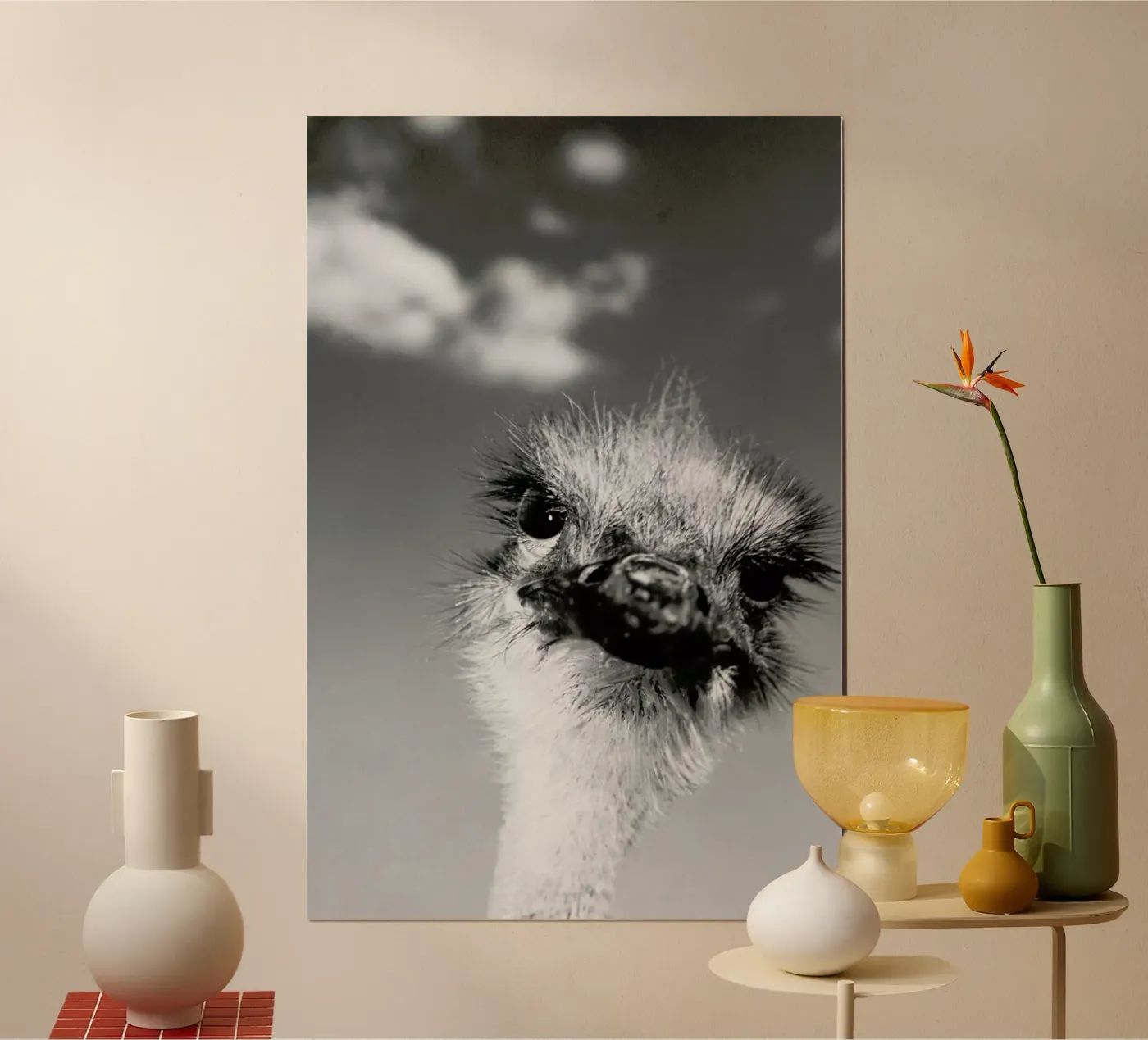 Head in the Clouds poster da Natural Kingdom