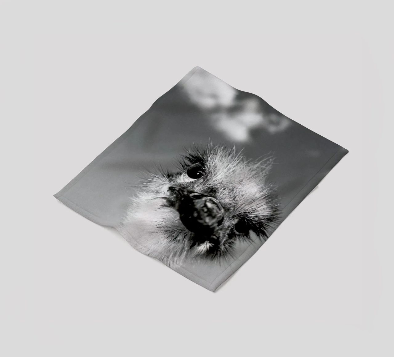 Head in the Clouds coperta in pile da Natural Kingdom