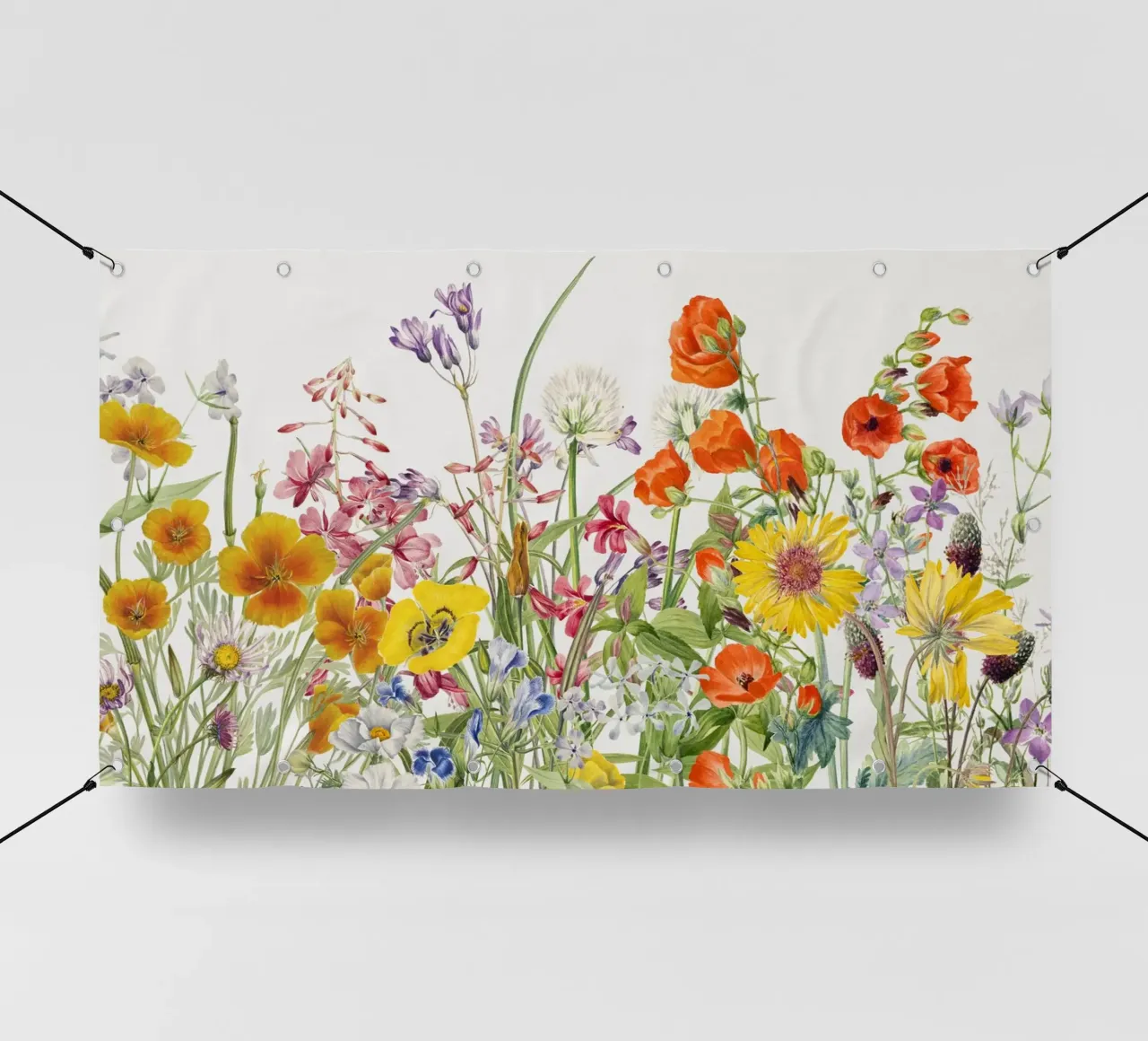 Stampa d'arte di studio botanico sui fiori selvatici telo in pvc da NorwesClub