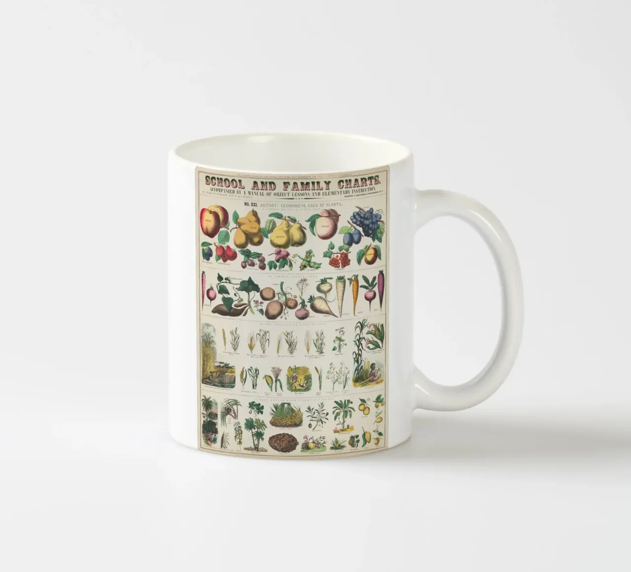 Poster botanico di piante tazza in ceramica da ARTVI-SHOP