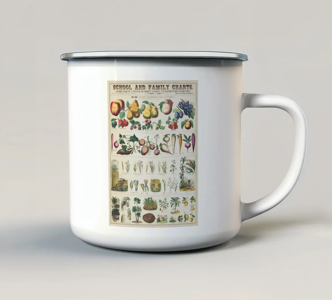 Poster botanico di piante tazza in smalto da ARTVI-SHOP