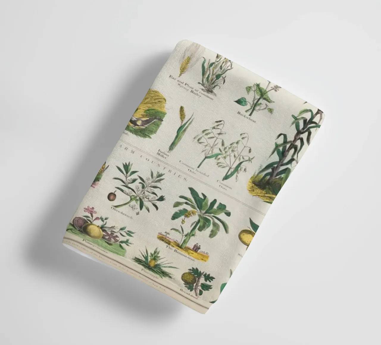 Poster botanico di piante asciugamano da bagno da ARTVI-SHOP