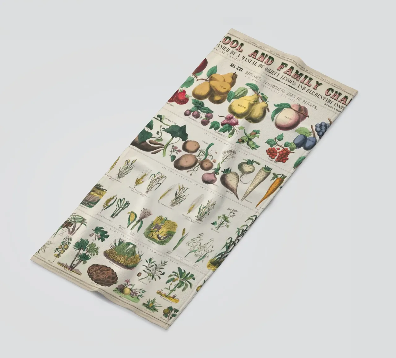 Poster botanico di piante telo mare da ARTVI-SHOP
