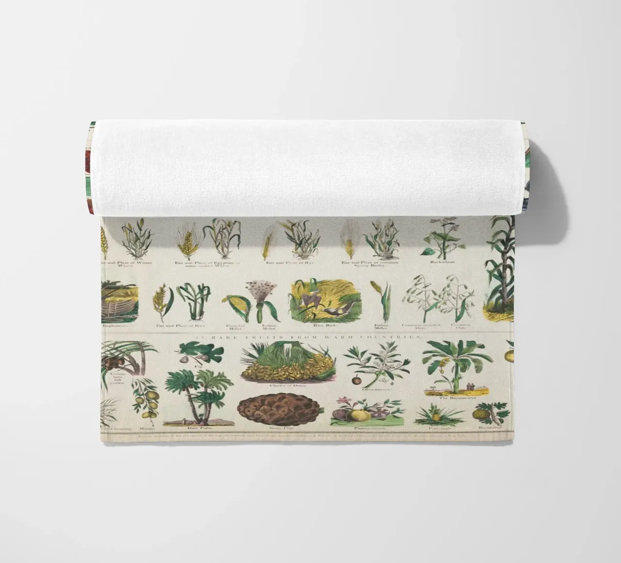 Póster botánico de plantas toalla de playa de ARTVI-SHOP