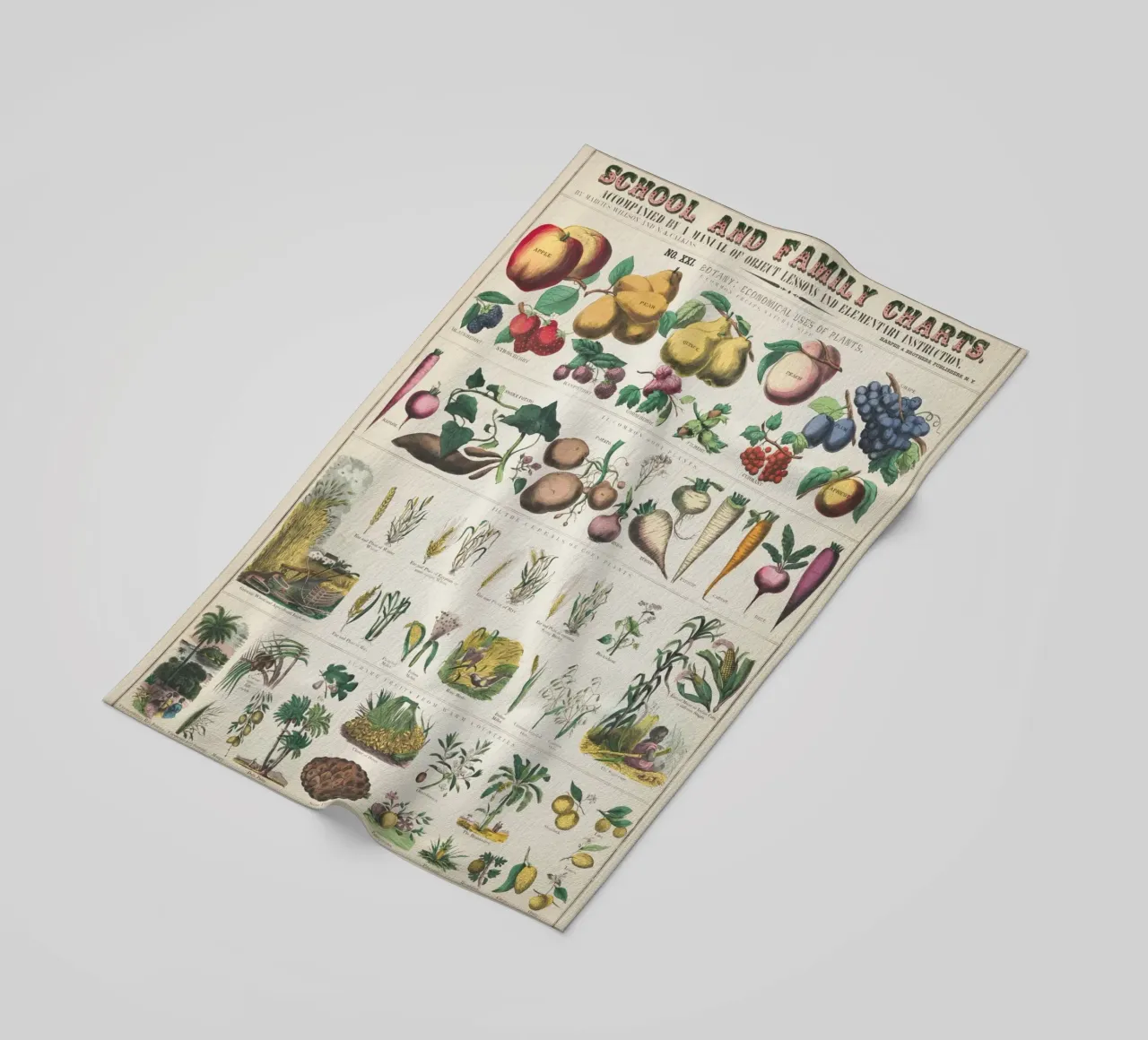 Poster botanico di piante telo mare da ARTVI-SHOP