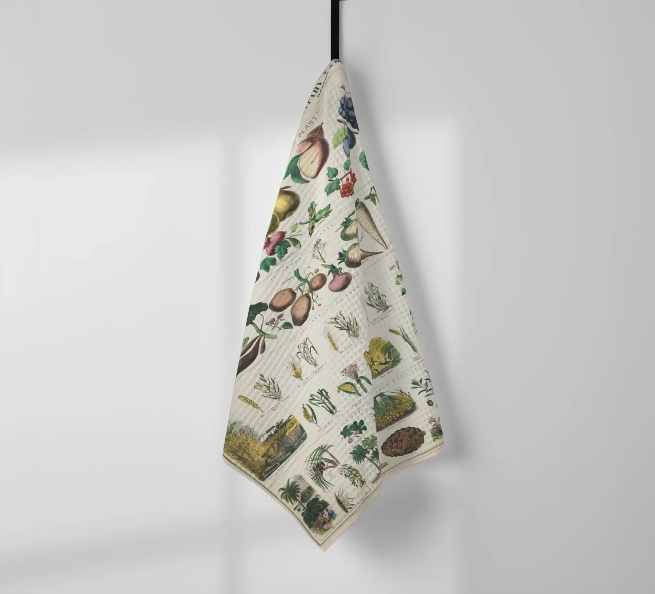 Poster botanico di piante canovaccio da cucina da ARTVI-SHOP