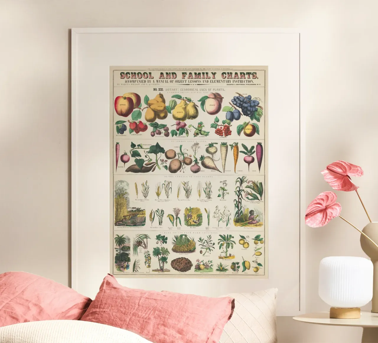 Poster botanico di piante carta hahnemühle da ARTVI-SHOP