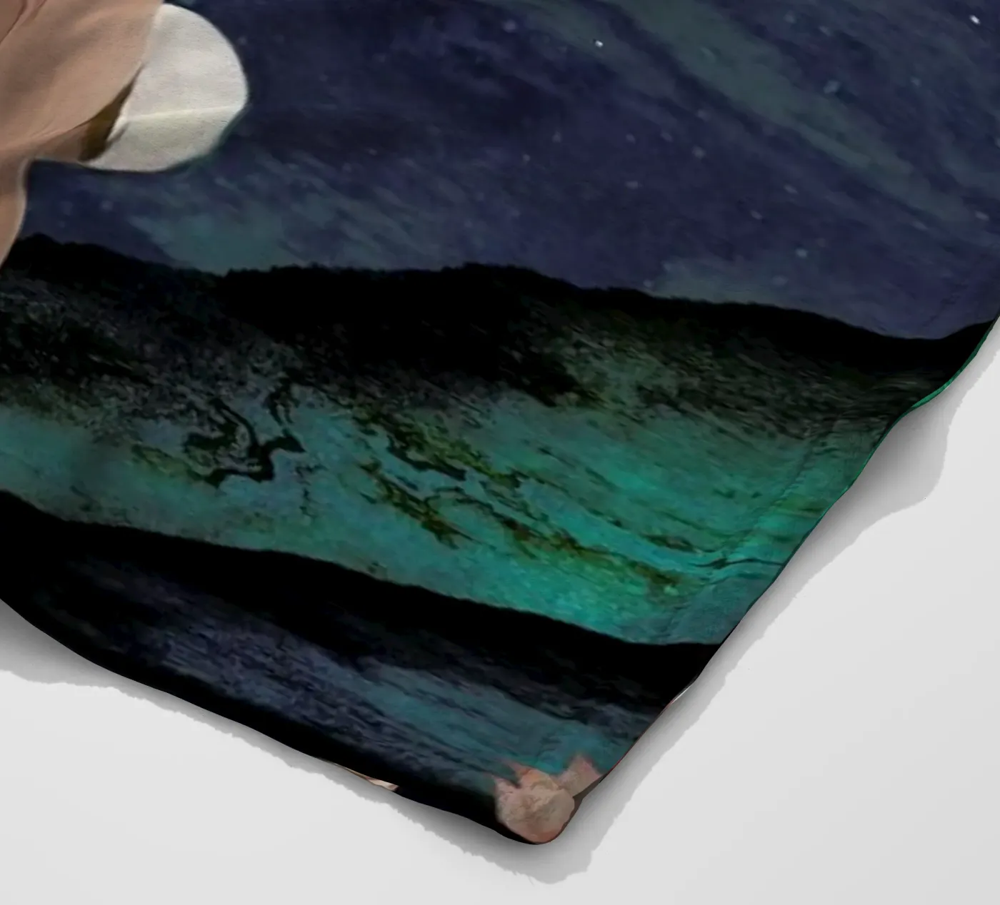 Dive Fleecedecke von Laura Graves